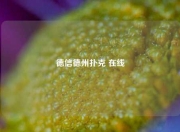 德信德州扑克 在线