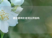 德信德州扑克可以开挂吗