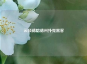 云顶德信德州扑克黑客