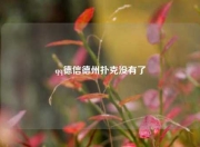 qq德信德州扑克没有了