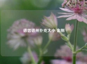 德信德州扑克大小 金刚