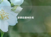 新德信德州扑克