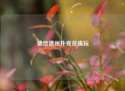 德信德州扑克在线玩