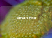 德信德州扑克衣服