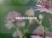 电脑玩德信德州扑克