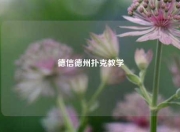 德信德州扑克教学