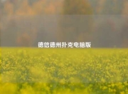 德信德州扑克电脑版