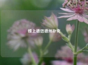 线上德信德州扑克