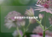 德信德州扑克都是高牌