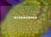 赌王电影德信德州扑克