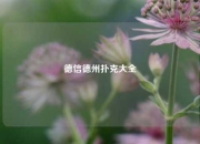 德信德州扑克大全