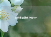 土豪德信德州扑克APP
