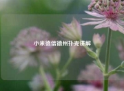 小米德信德州扑克讲解