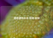 德信德州扑克 梭哈 区别