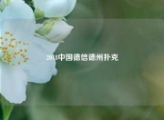 2018中国德信德州扑克