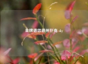 金牌德信德州扑克 sky