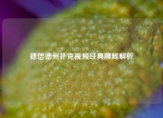 德信德州扑克视频经典牌局解析