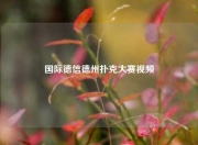 国际德信德州扑克大赛视频