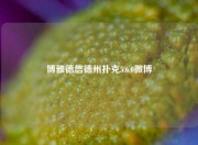 博雅德信德州扑克5.6.0微博