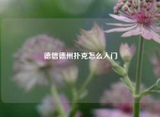 德信德州扑克怎么入门