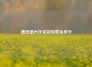 德信德州扑克冠军奖金多少