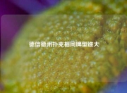 德信德州扑克相同牌型谁大