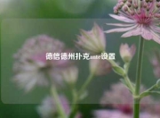 德信德州扑克ante设置