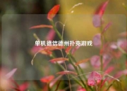 单机德信德州扑克游戏