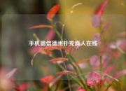 手机德信德州扑克真人在线