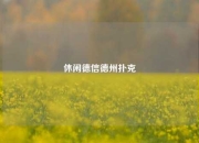 休闲德信德州扑克