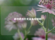 德信德州扑克鲨鱼笼规则