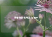 博雅德信德州扑克 抽水