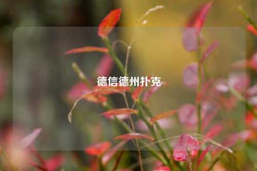 德信德州扑克