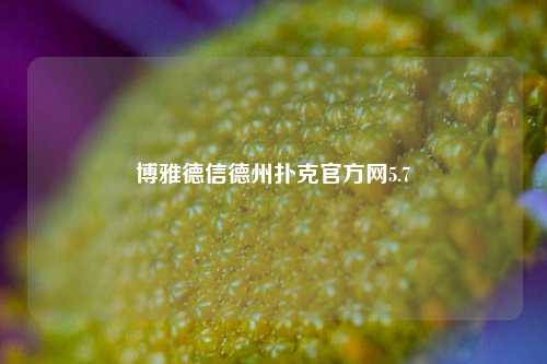博雅德信德州扑克官方网5.7