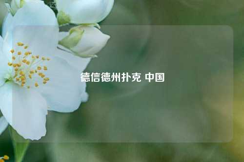 德信德州扑克 中国