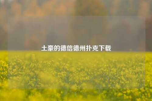 土豪的德信德州扑克下载