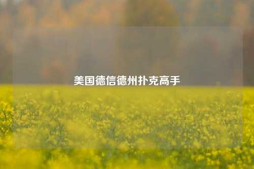 美国德信德州扑克高手