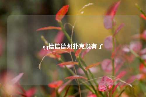 qq德信德州扑克没有了