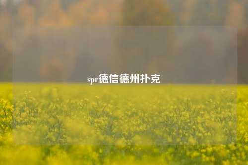 spr德信德州扑克