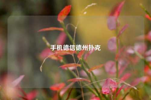 手机德信德州扑克