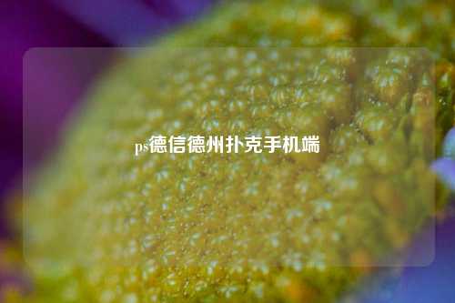 ps德信德州扑克手机端
