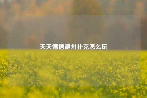 天天德信德州扑克怎么玩