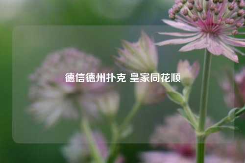 德信德州扑克 皇家同花顺