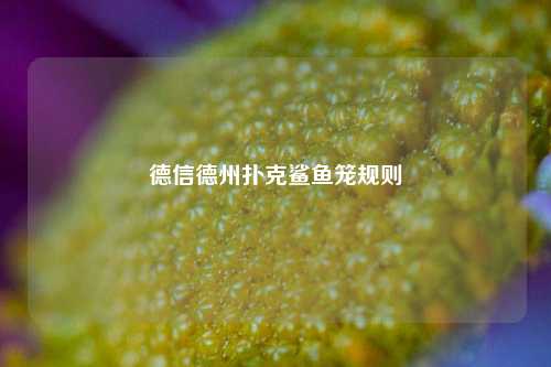 德信德州扑克鲨鱼笼规则