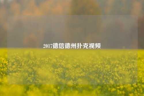 2017德信德州扑克视频