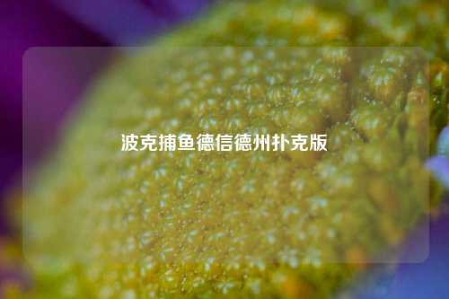 波克捕鱼德信德州扑克版