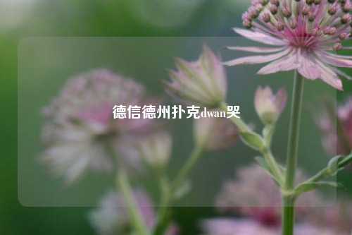 德信德州扑克dwan哭