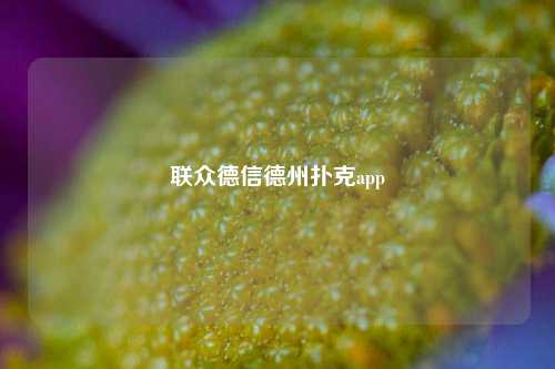 联众德信德州扑克app