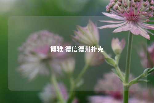 博雅 德信德州扑克