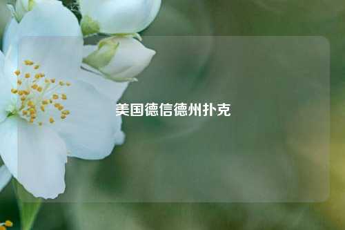 美国德信德州扑克